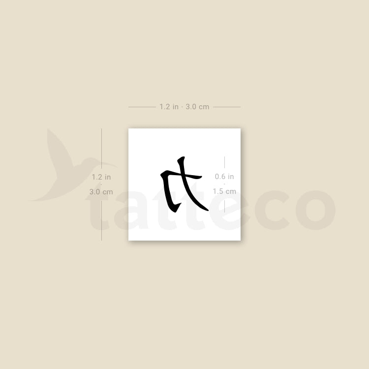 Chinese Symbol For Strength Temporary Tattoo - Set of 3 – Tatteco