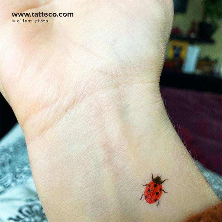 Lucky Ladybug by J6R6 from Tattly Temporary Tattoos – Tattly