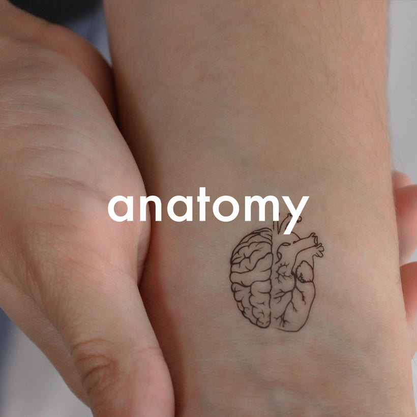 Anatomy Temporary Tattoos