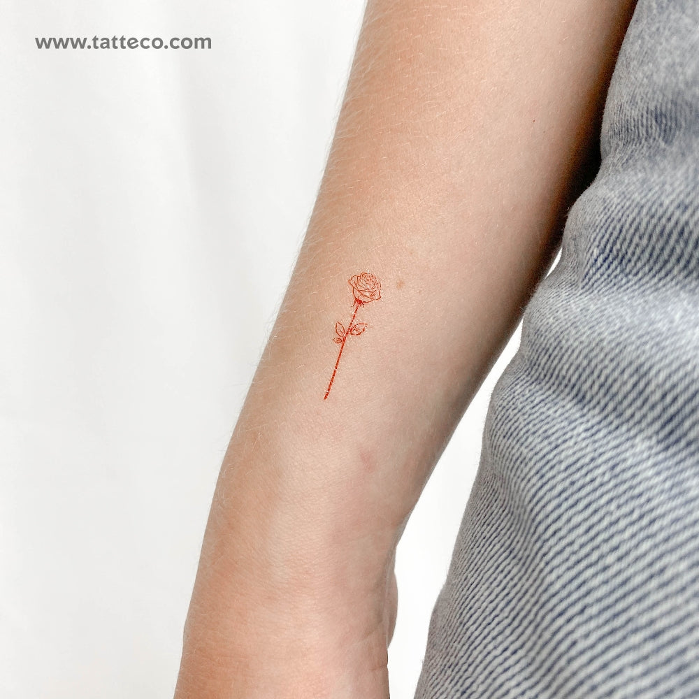 Small Fine Line Red Rose Temporary Tattoo – Tatteco