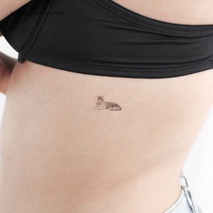 Resting Tiger Temporary Tattoo - Set of 3