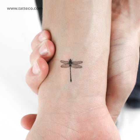 Little Illustrative Dragonfly Temporary Tattoo - Set of 3