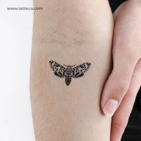 Moth Temporary Tattoo - Set of 3