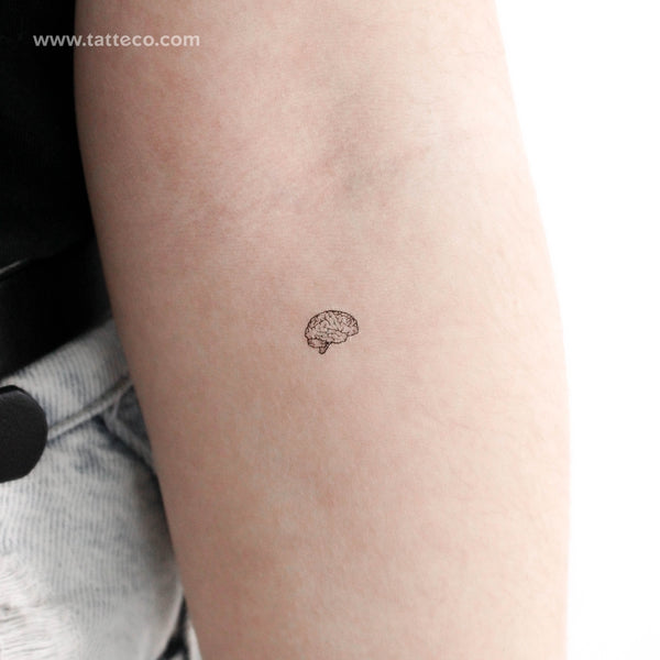 Tiny Brain Temporary Tattoo - Set of 3