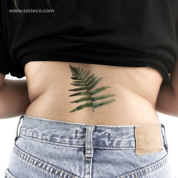 Fern Frond By Ann Lilya Temporary Tattoo - Set of 3