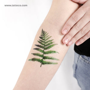 Fern Frond By Ann Lilya Temporary Tattoo - Set of 3