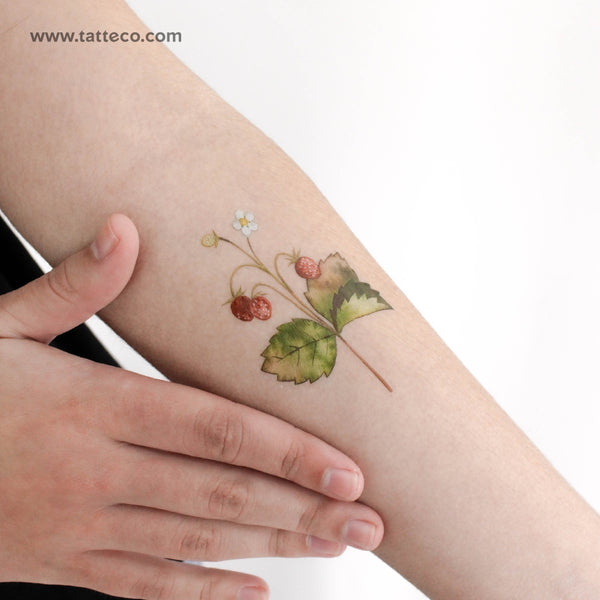 Wild Strawberries By Ann Lilya Temporary Tattoo - Set of 3