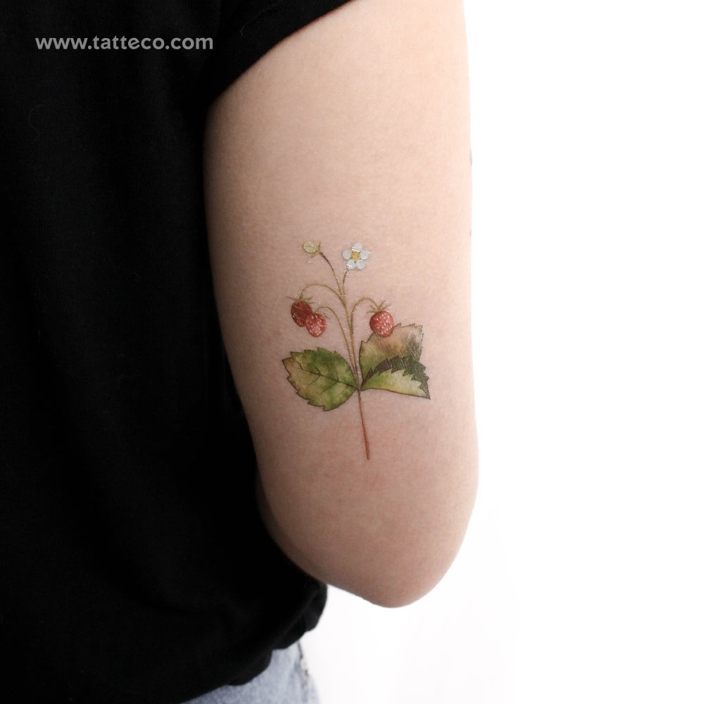 Wild Strawberries By Ann Lilya Temporary Tattoo - Set of 3