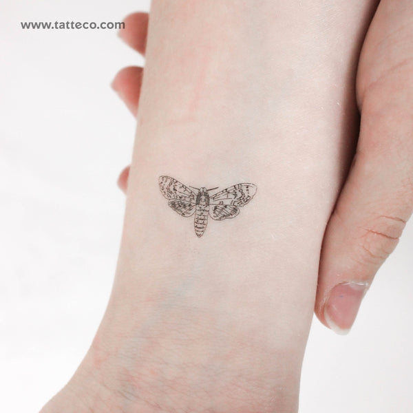 Small Moth Temporary Tattoo - Set of 3