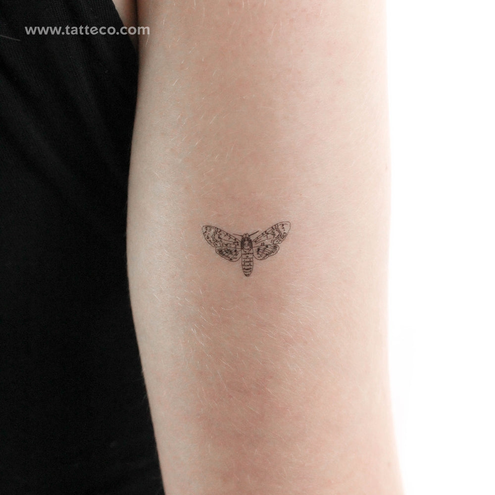 Small Moth Temporary Tattoo - Set of 3