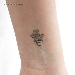 House Plant Temporary Tattoo - Set of 3