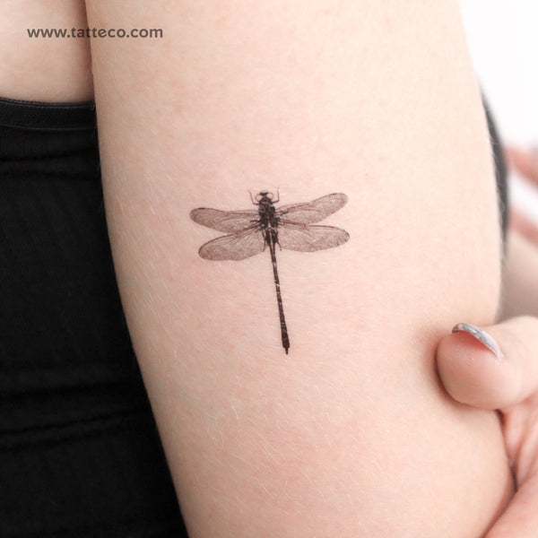 Small Illustrative Dragonfly Temporary Tattoo - Set of 3