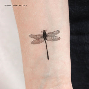 Small Illustrative Dragonfly Temporary Tattoo - Set of 3