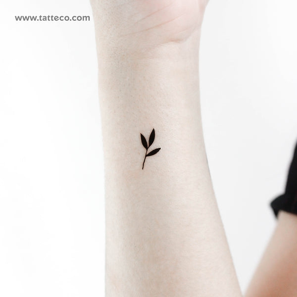 Tiny Black Sprout Temporary Tattoo - Set of 3