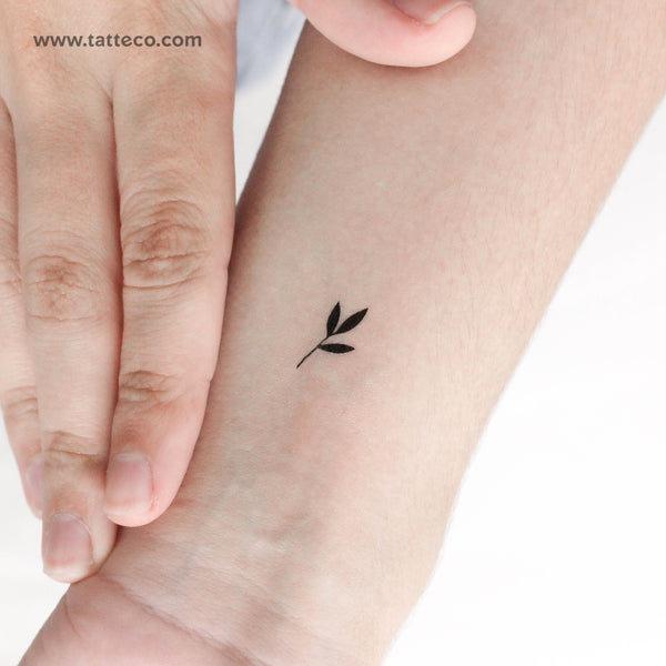 Tiny Black Sprout Temporary Tattoo - Set of 3