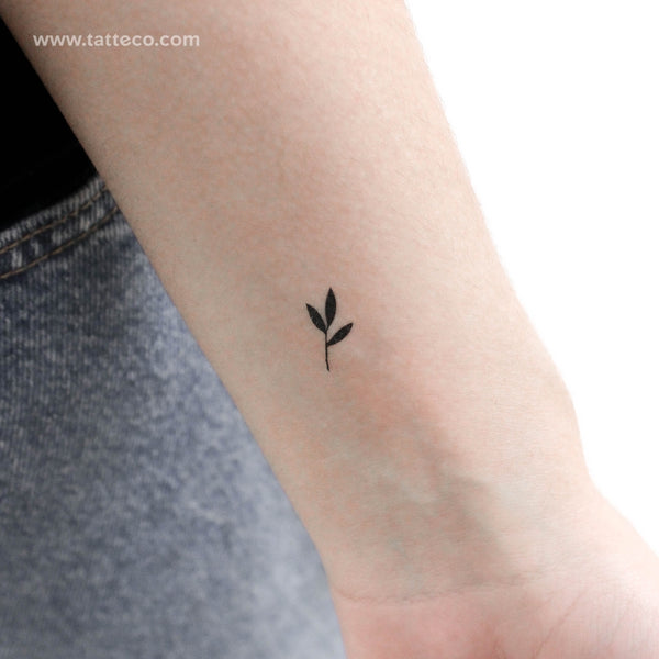 Tiny Black Sprout Temporary Tattoo - Set of 3