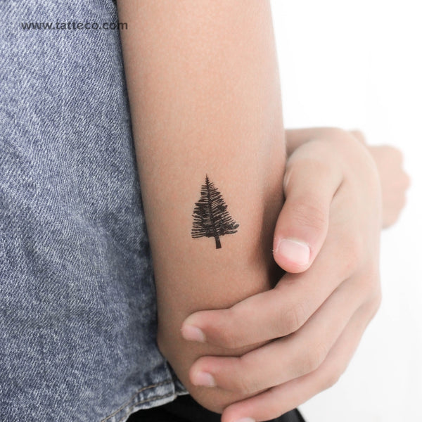 Leafless Pine Tree Temporary Tattoo - Set of 3