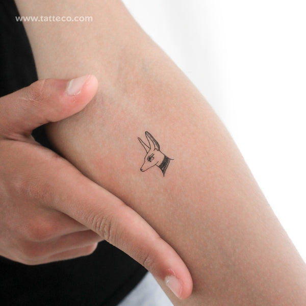 Anubis Temporary Tattoo - Set of 3