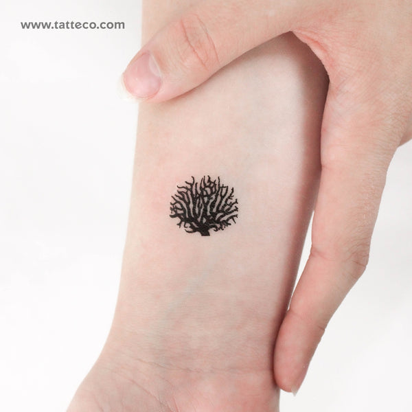 Coral Temporary Tattoo - Set of 3