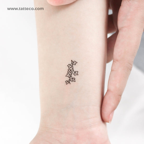 Little Ivy Temporary Tattoo - Set of 3