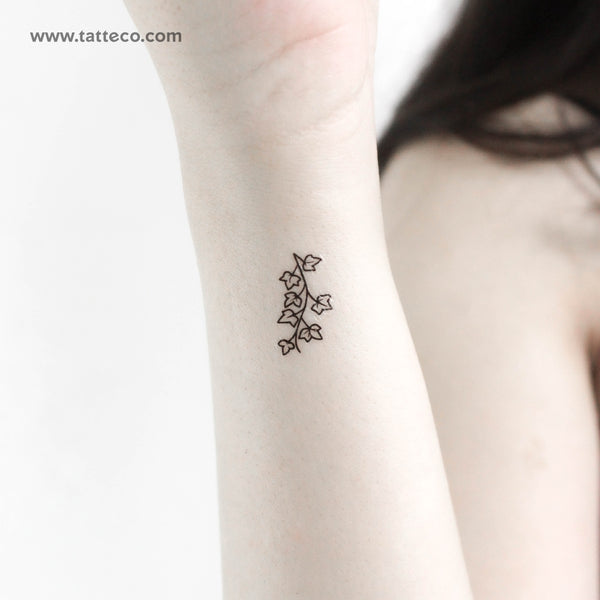 Little Ivy Temporary Tattoo - Set of 3