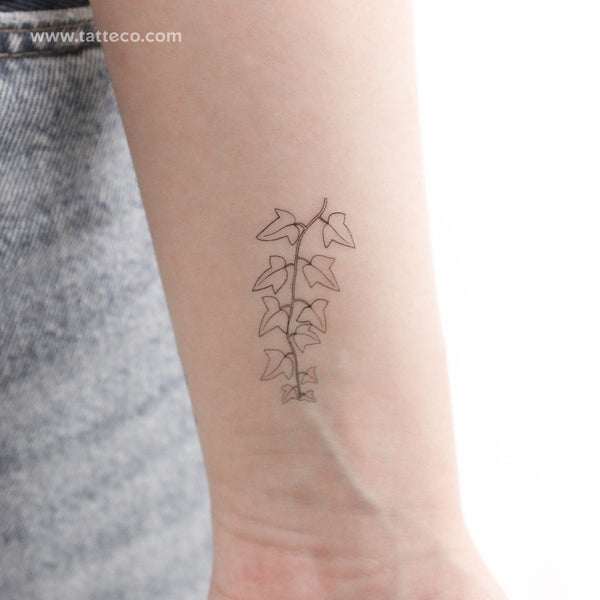 Common Ivy Plant Temporary Tattoo - Set of 3