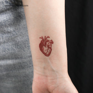 Red Anatomical Heart Temporary Tattoo - Set of 3