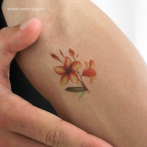 Watercolor Plumeria Temporary Tattoo - Set of 3