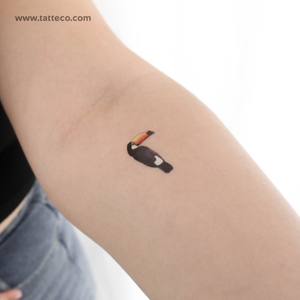 Toucan Temporary Tattoo - Set of 3