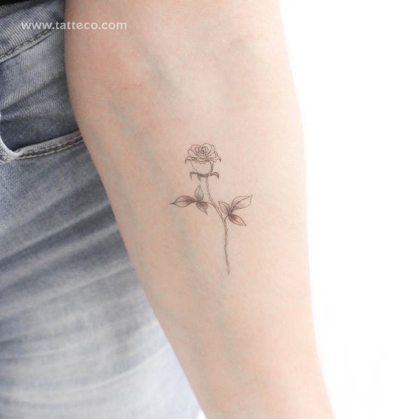 Illustrative Rose Temporary Tattoo - Set of 3