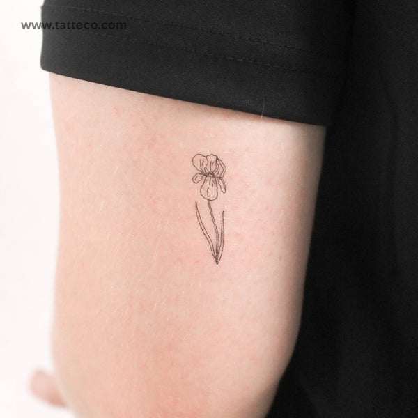 Iris Temporary Tattoo - Set of 3