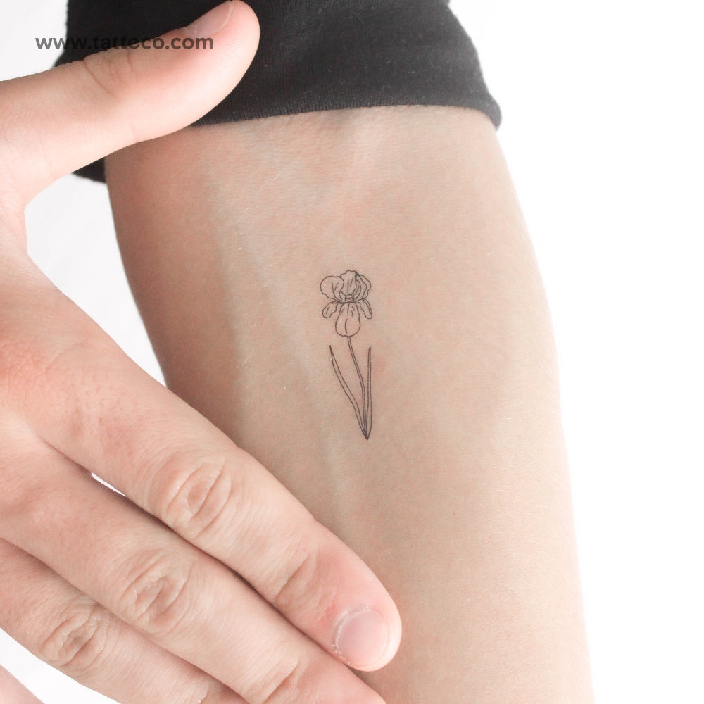 Iris Temporary Tattoo - Set of 3