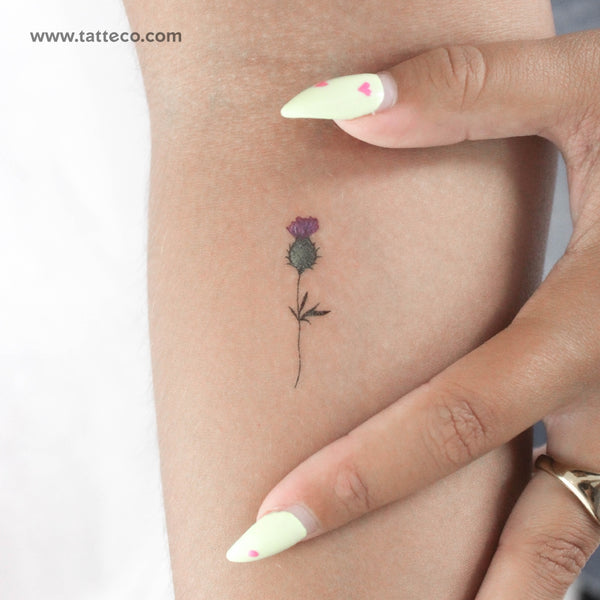 Thistle Temporary Tattoo - Set of 3