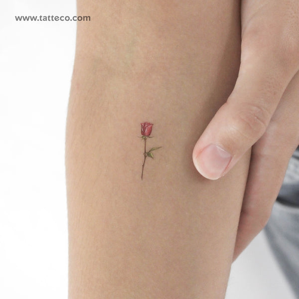 Small Garnet Rose By Mini Lau Temporary Tattoo - Set of 3