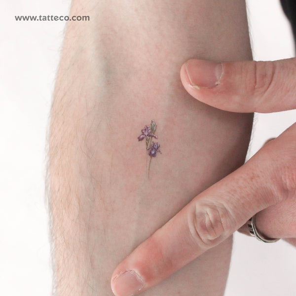 Small Iris By Mini Lau Temporary Tattoo - Set of 3