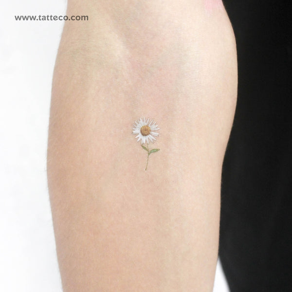 Small Daisy Temporary Tattoo - Set of 3