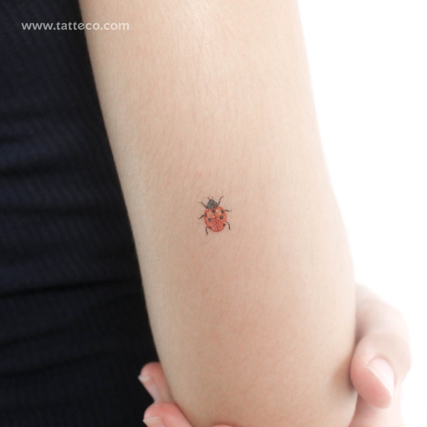 Ladybug Temporary Tattoo - Set of 3