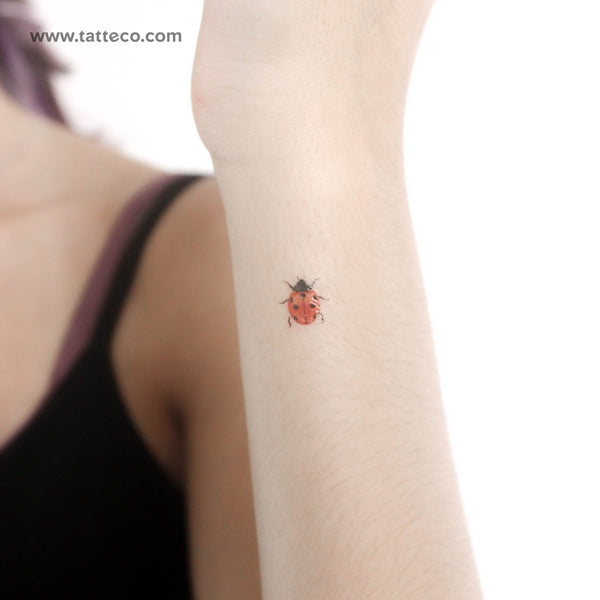 Ladybug Temporary Tattoo - Set of 3