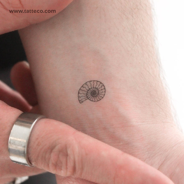 Ammonite Temporary Tattoo - Set of 3