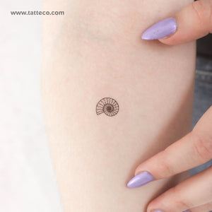 Ammonite Temporary Tattoo - Set of 3