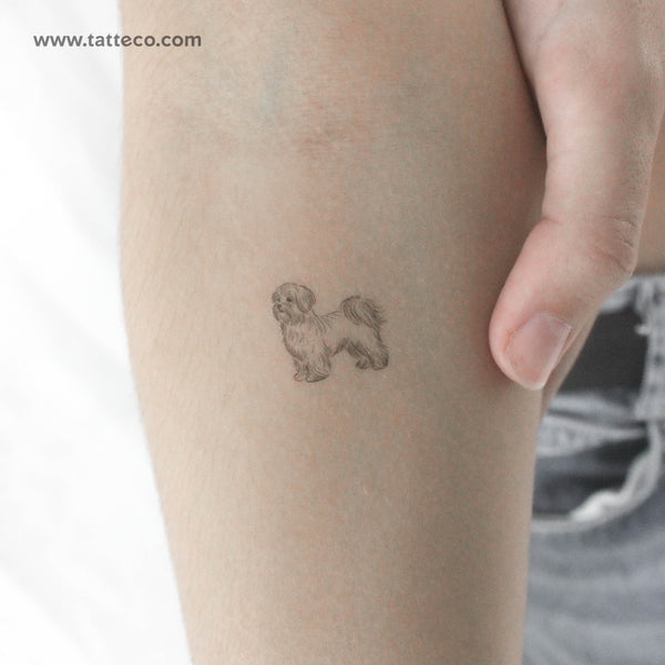 Maltese Temporary Tattoo - Set of 3