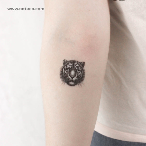 Tiger Head Temporary Tattoo - Set of 3