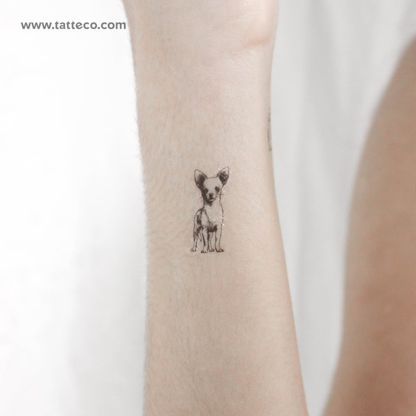 Little Chihuahua Temporary Tattoo - Set of 3