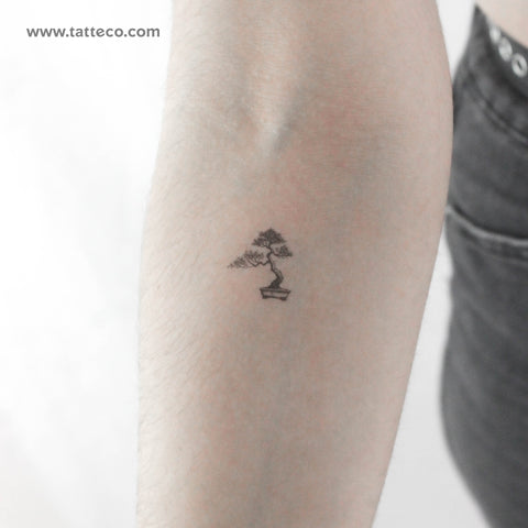 Bonsai Temporary Tattoo - Set of 3