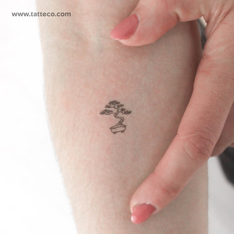 Tiny Bonsai Temporary Tattoo - Set of 3