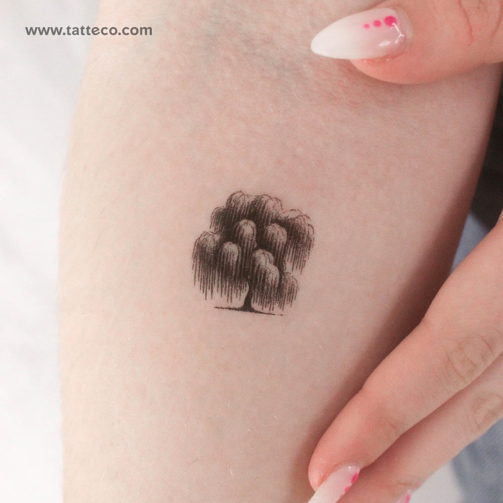 Weeping Willow Temporary Tattoo - Set of 3