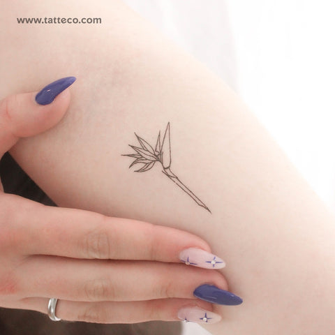 Fine Line Bird Of Paradise Temporary Tattoo - Set of 3