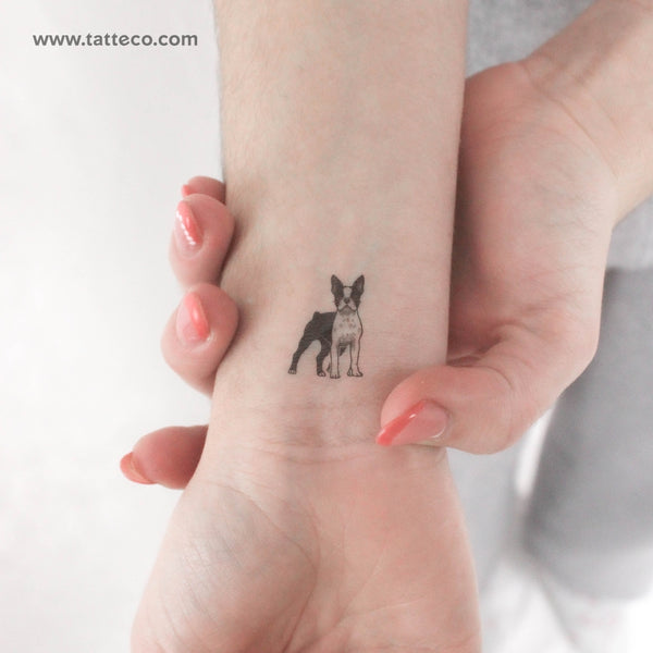 Boston Terrier Temporary Tattoo - Set of 3