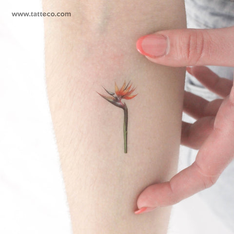 Watercolor Bird Of Paradise Temporary Tattoo - Set of 3