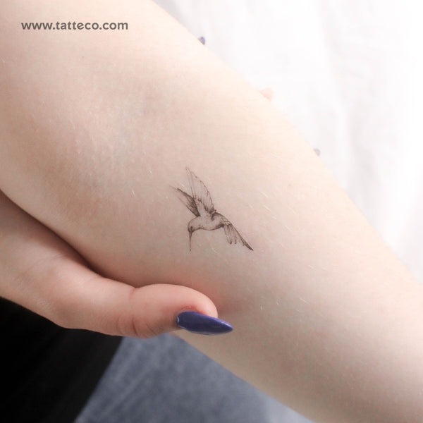 Small Fine Line Hummingbird Temporary Tattoo - Set of 3